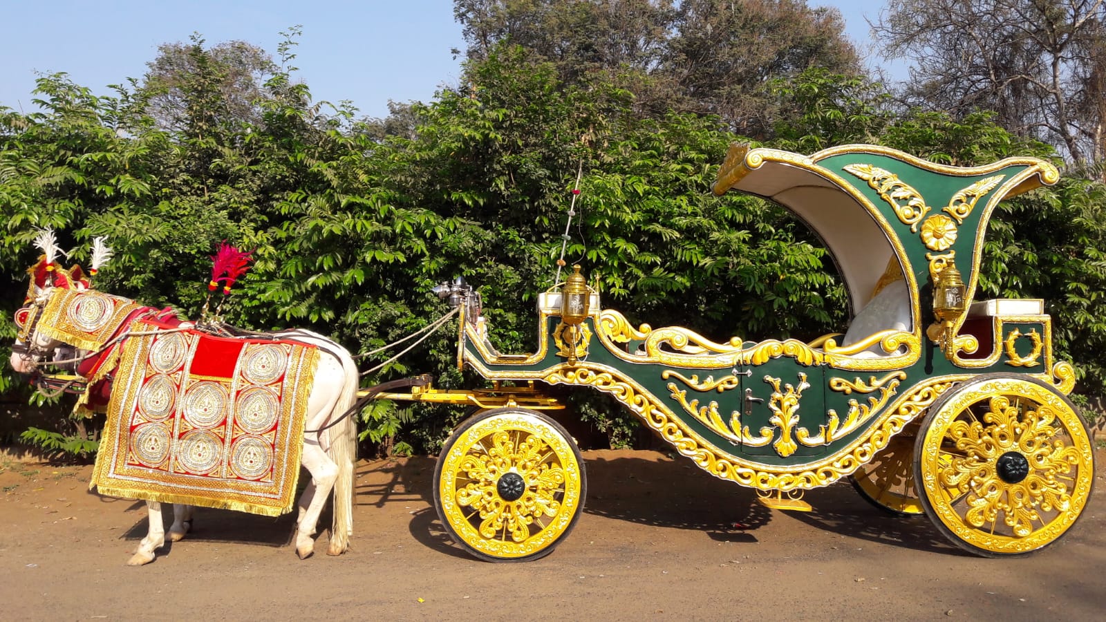 Patiala Green Bagi horse bagi photo 3 - Anand Gujarat